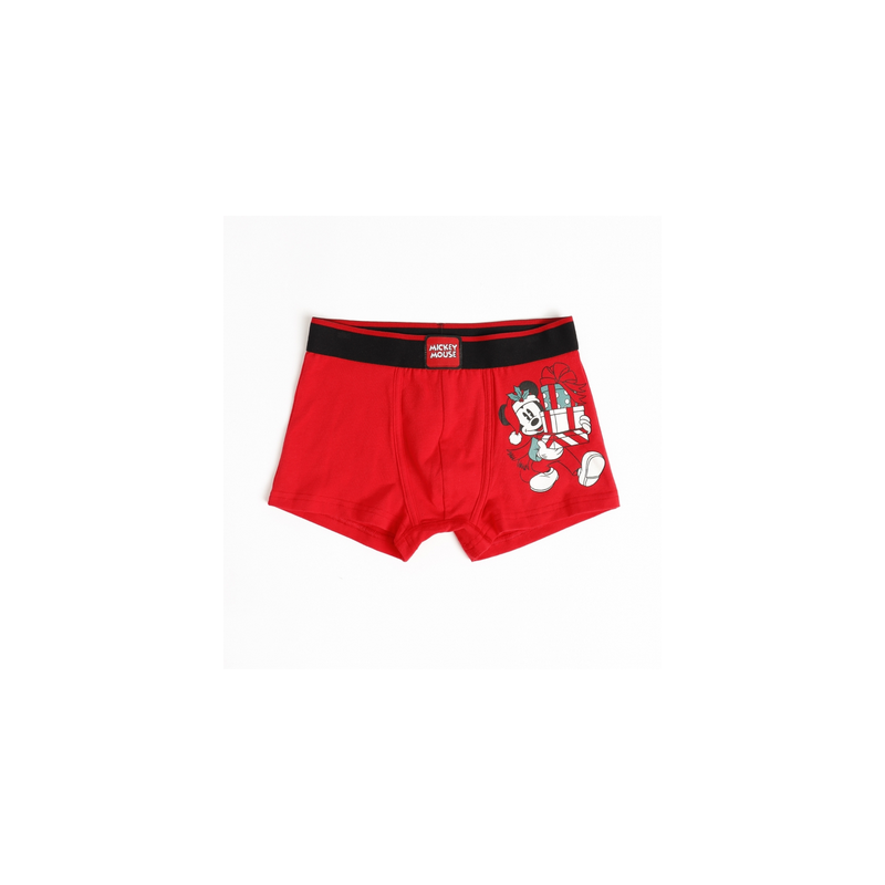 Disney Boxer Bambino Natale